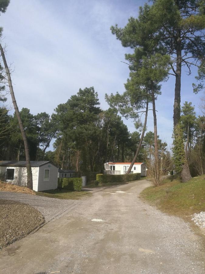 La Dune Blanche Camiers Eksteriør billede